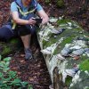 09 b Schluchensteig Etappe 4 - 6